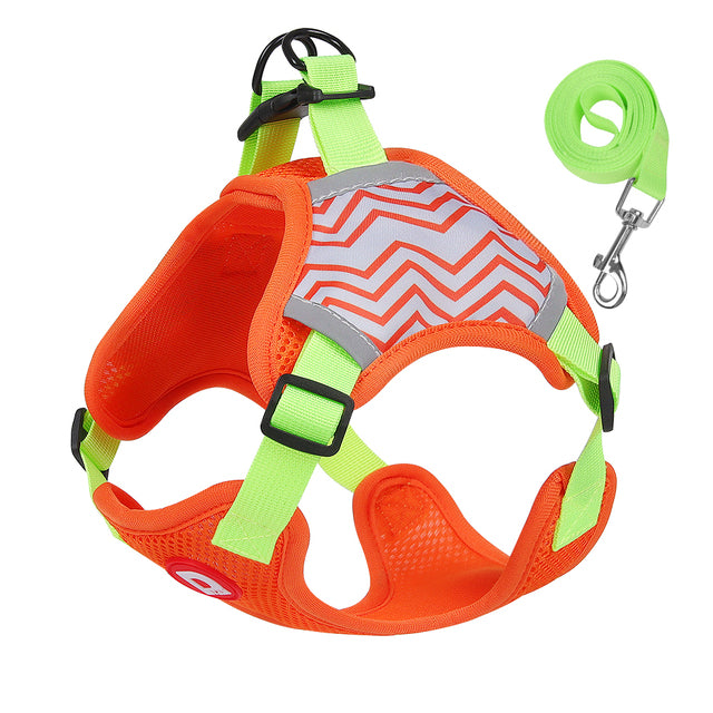 Anti-trek Hondentuig met Riem Set