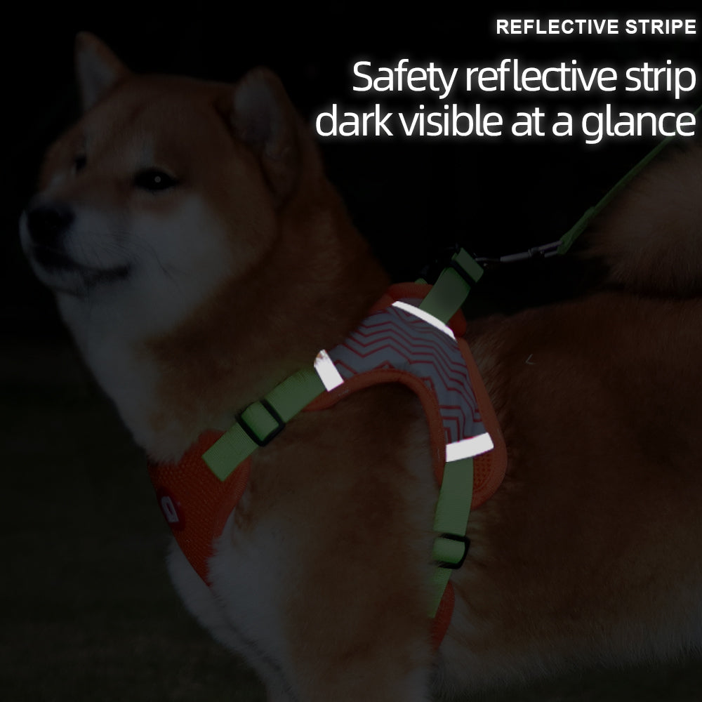 Anti-trek Hondentuig met Riem Set